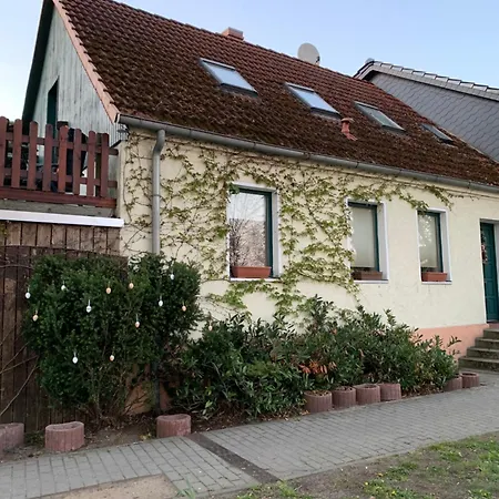 Finca Sommerfeld 2-Zimmerhaus mit Terrasse und Garten-3